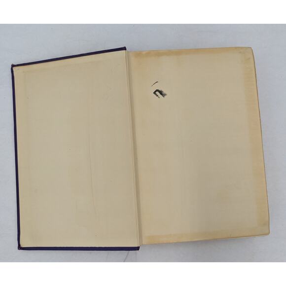 Henry The Eighth By Francis Hackett Illustrated Biography Star Book Vintage 1931 - Picture 7 of 16